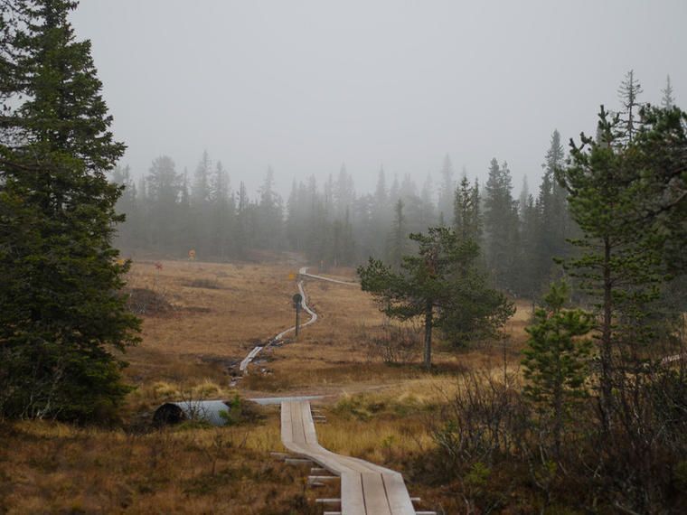 Stugor sälen