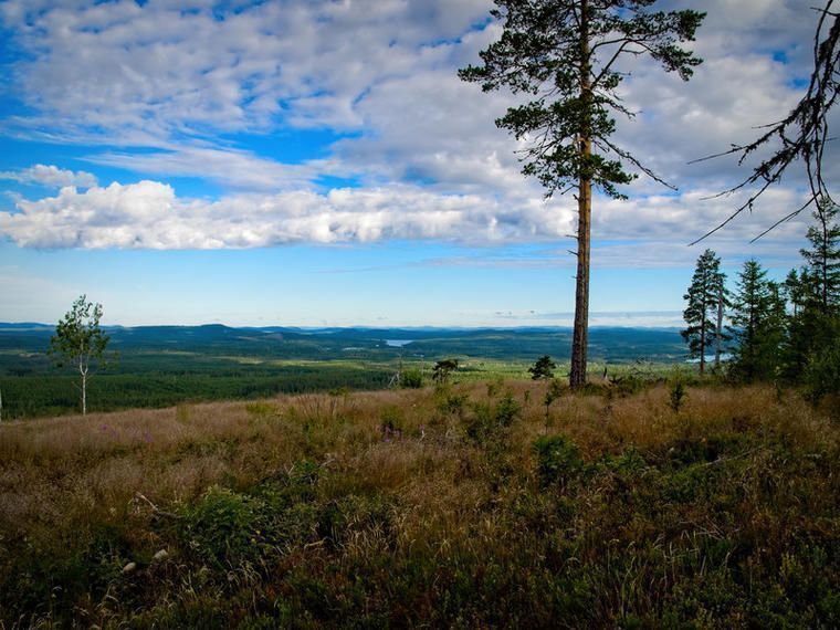 Hyra stuga Dalarna