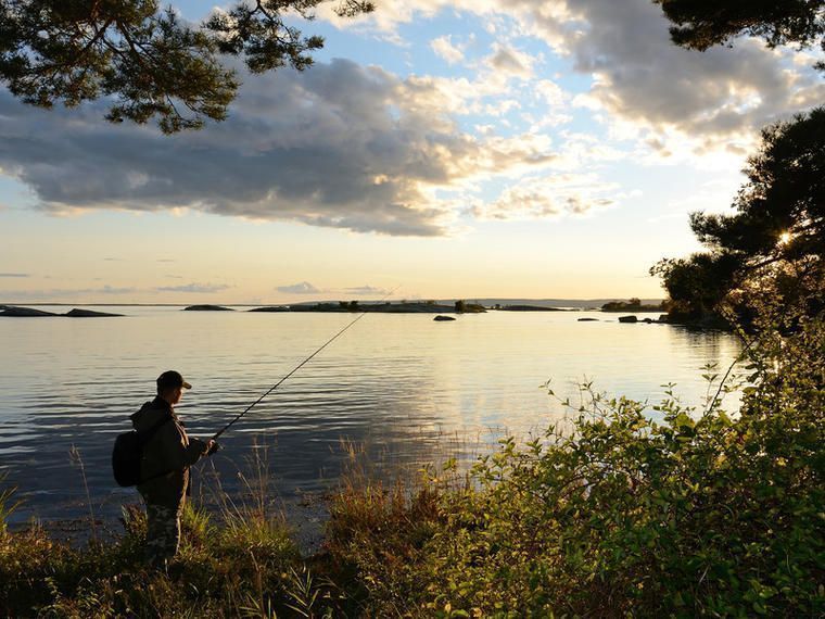 Hyra stuga Töreboda