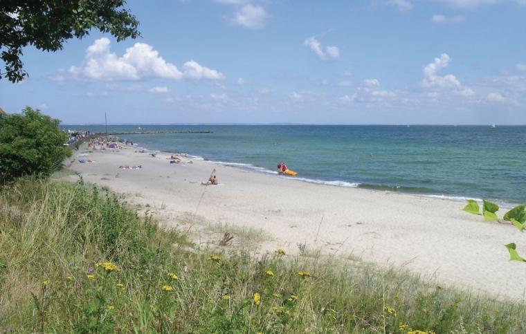 Åk från Nr. Kettingskov till stranden vid Mommark på Als
