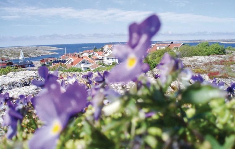 Utsikt över boenden på Orust