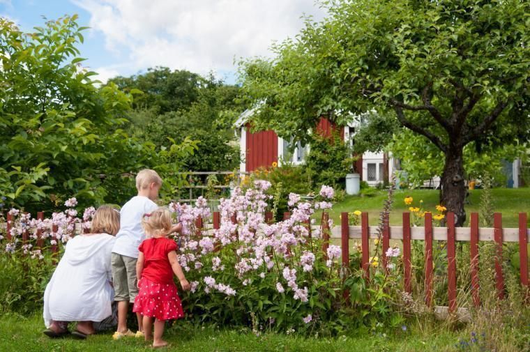 Sprid semesterglädje bland gäster från hela världen