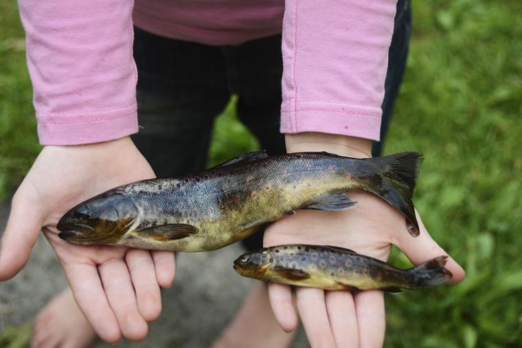 Få napp under din fiskesemester