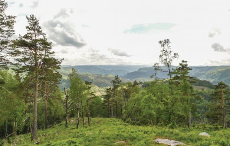Upplev den vackra naturen i Hægebostad
