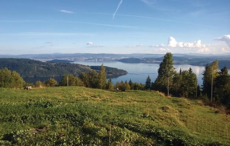 Norra Tröndelag i Norge