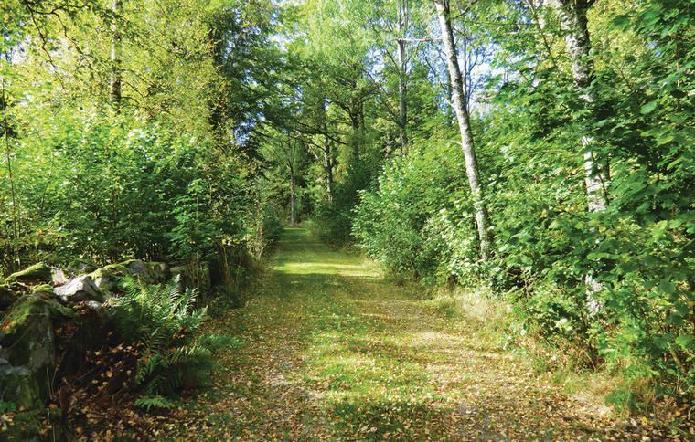 Möt naturen utanför dörren när du hyr stuga i Torsås