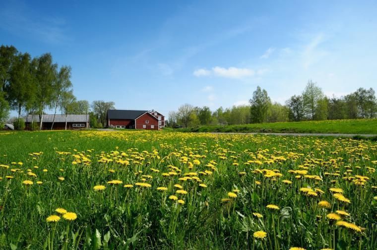 Naturnära med en stuga i Småland