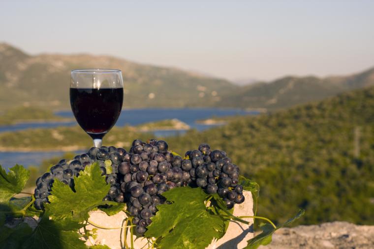 Vinproduktion i Dalmatien