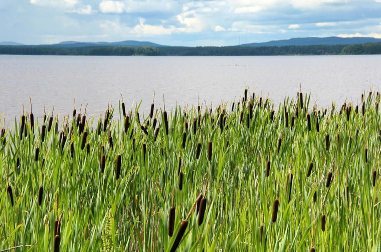 Utsikt över sjö i Orsa, Dalarna