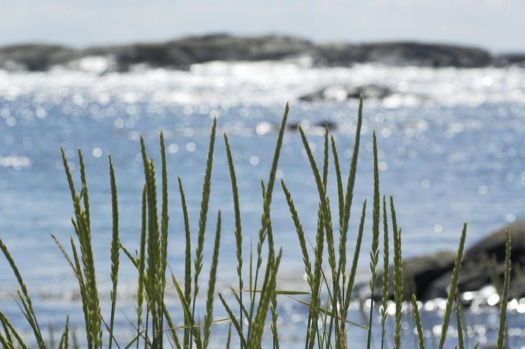 Kom nära havet med en stuga i Göteborgs norra skärgård
