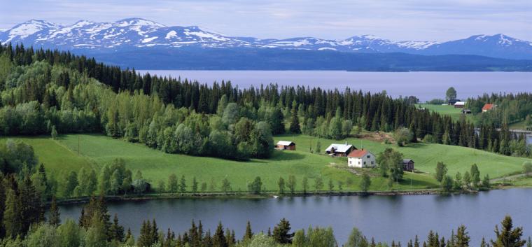 Hyr stuga i vackra Jämtland
