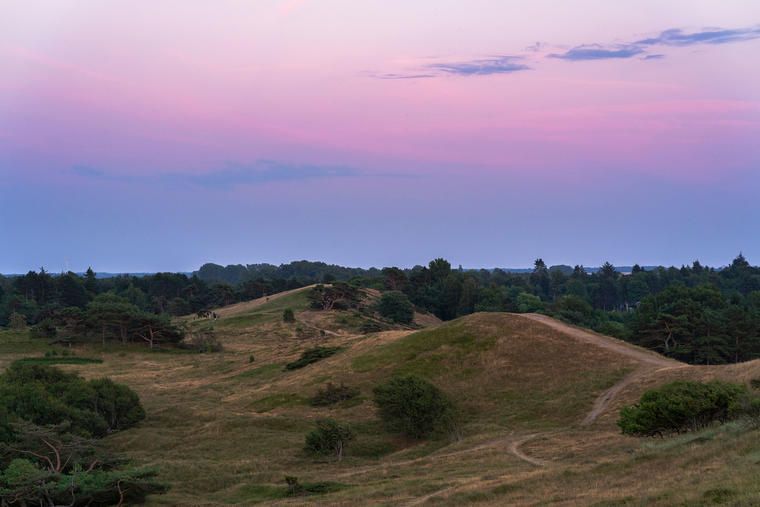 Natur i Gilleleje, Danmark