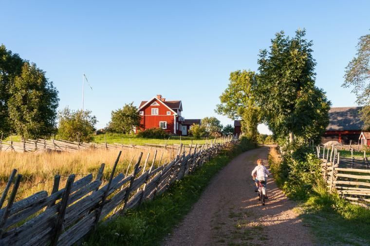 Hyr stuga i Småland och upplev Glasriket
