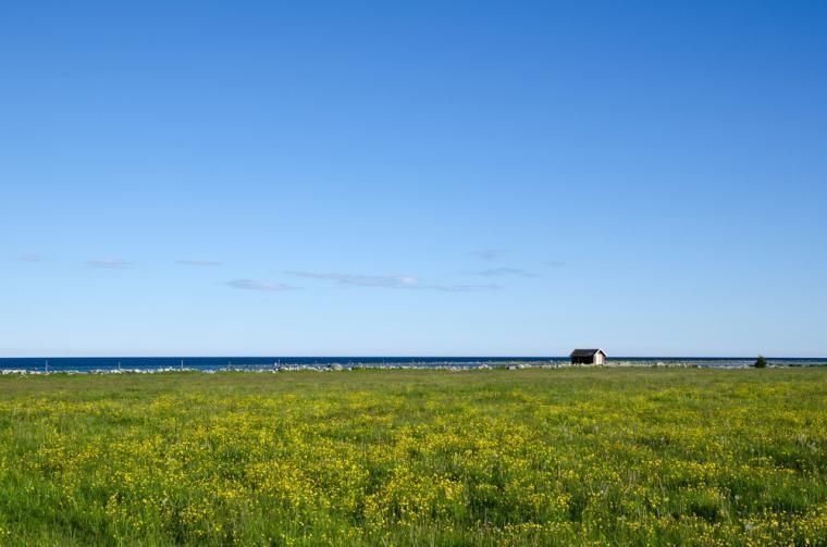 Ta en semester i Mörbylånga på Öland