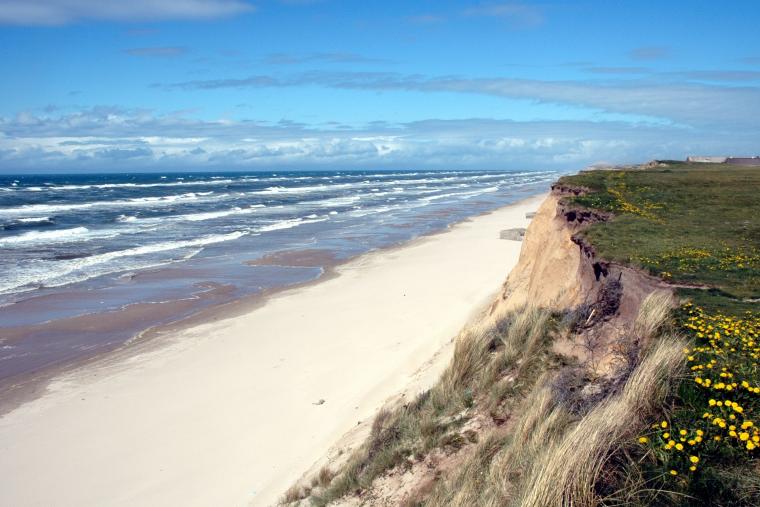Strandbild från Västjylland