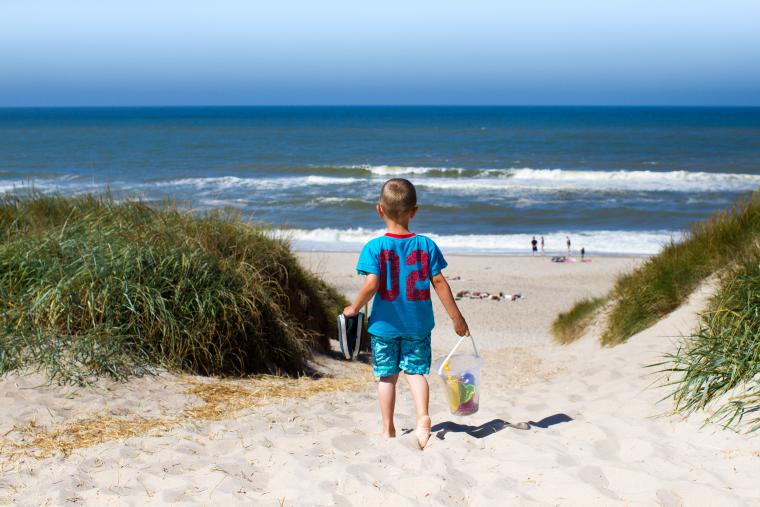 Njuta va strandliv med stuga i Blokhus