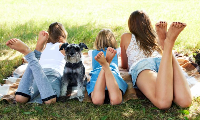 Klart att din hund ska med på semester