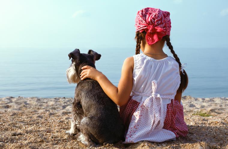Stugor på Öland där hund är välkommen