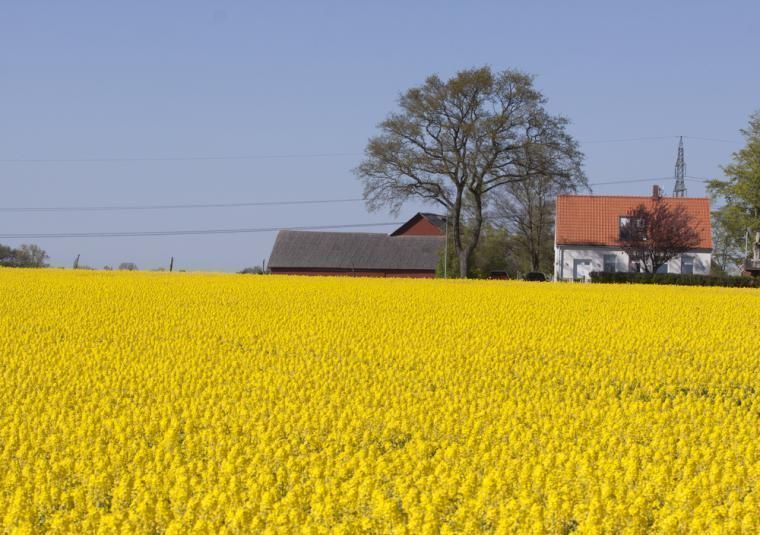 Semester i Brösarp, Skåne