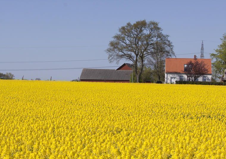 Långweekend Höganäs