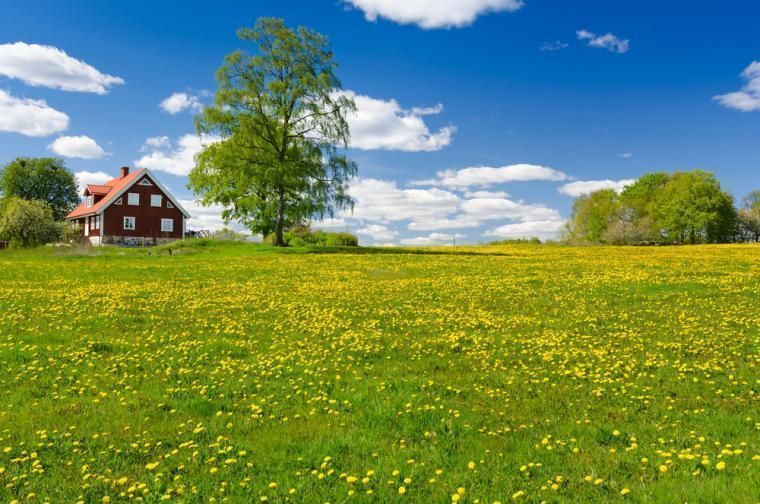 Naturupplevelser nära Halmstad