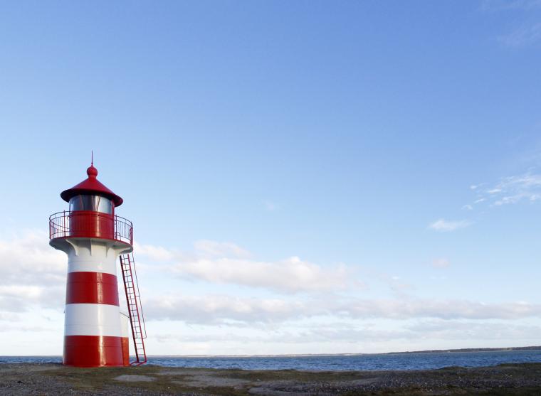 Hyr stuga och upplev danska Limfjorden