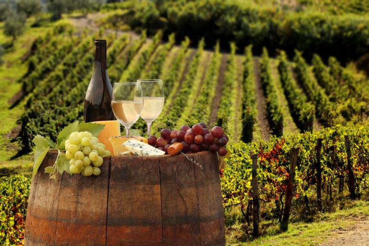 Smakfull semester i Toscana