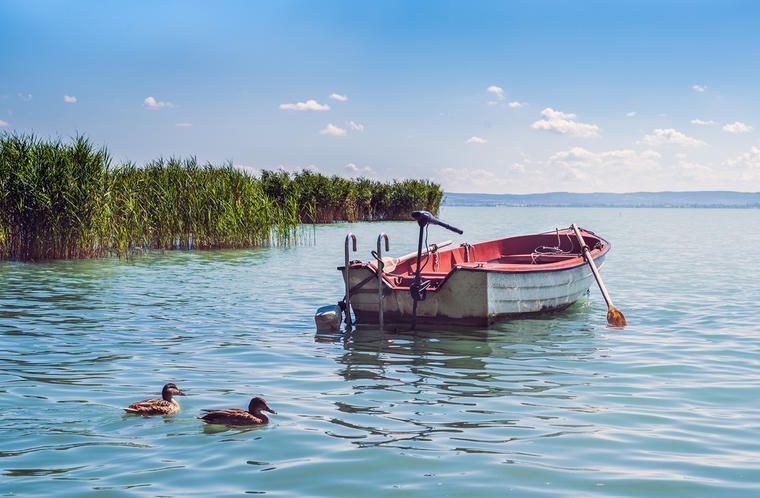 Upplev Balatonsjön med ett boende i Siófok
