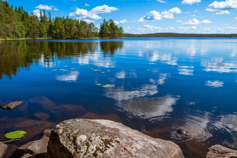 Hyr stuga i Ristiina och kom nära Insjöfinland