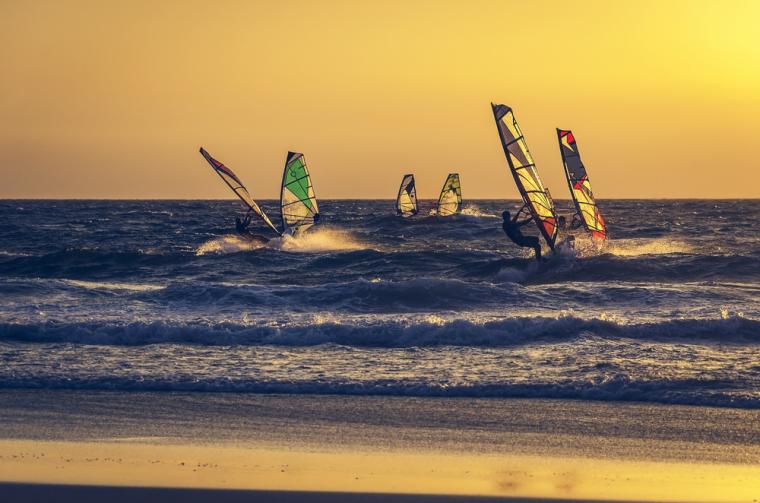 Surfsemester i Danmark