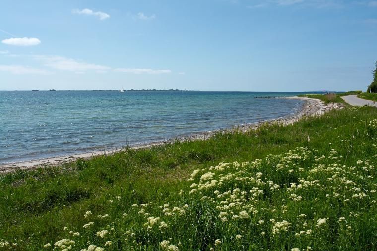 Smal strand vid kusten på Fyn
