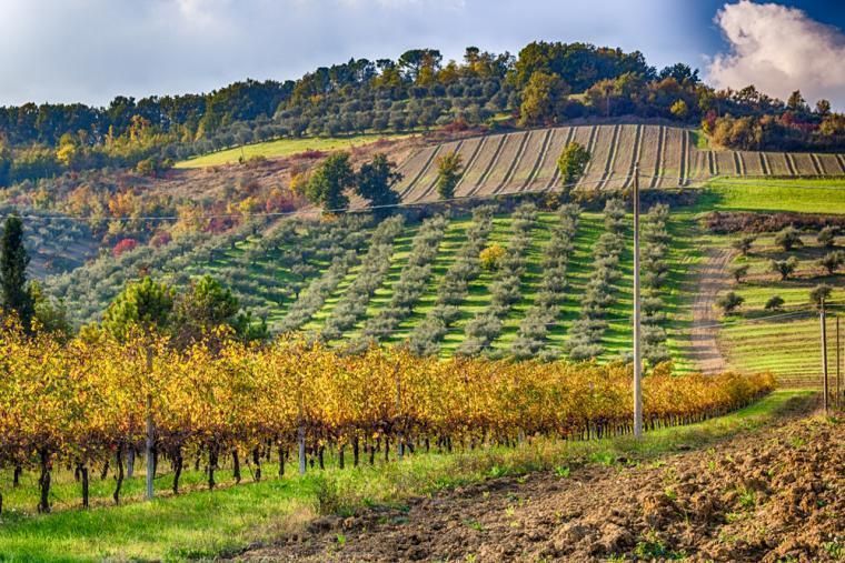 Vackra landskap i Emilia Romagna