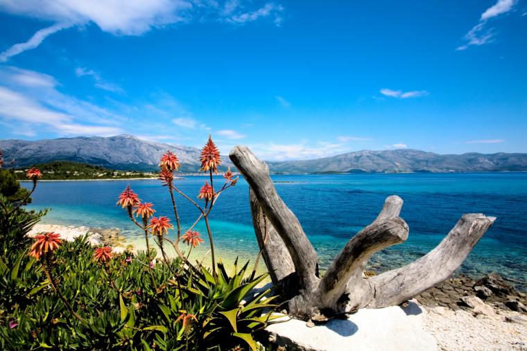 Strand vid havet på Korcula