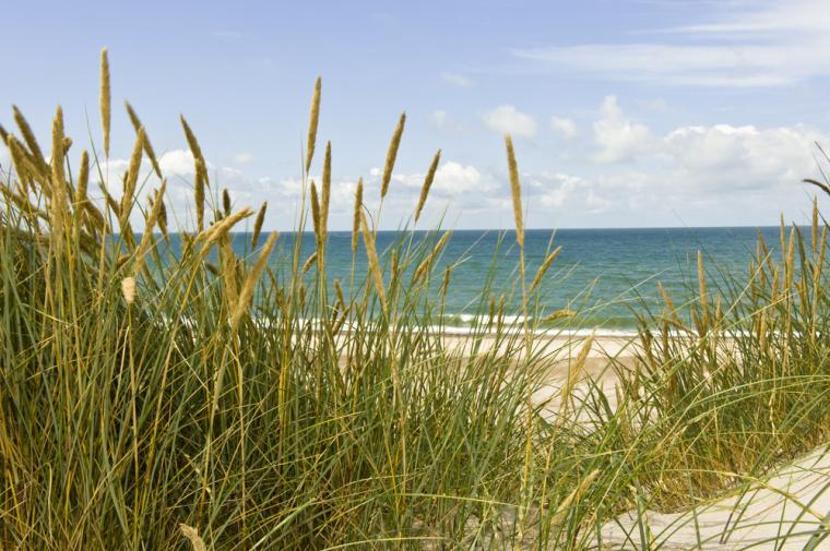 Hav och strand med semesterhus på Kegnaes