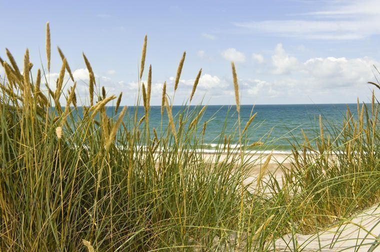 Upplev stranden vid Tversted