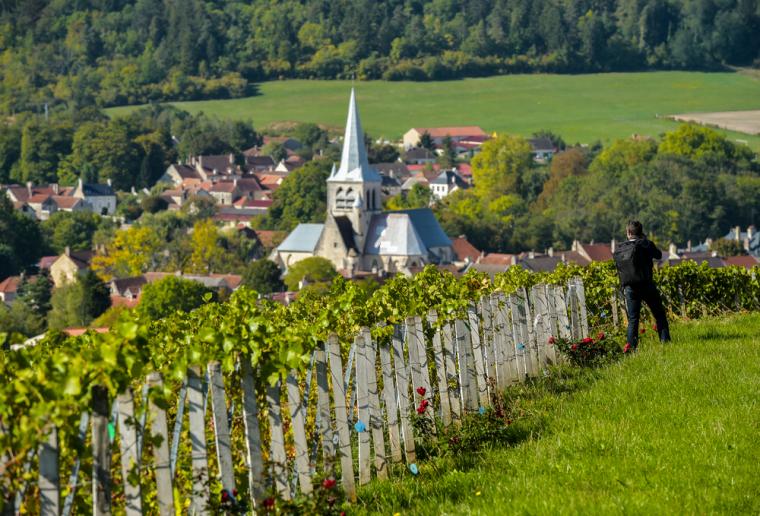 Hyr hus och besök vingårdar i Champagne-Ardenne