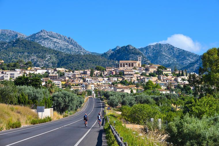 Selva på Mallorca