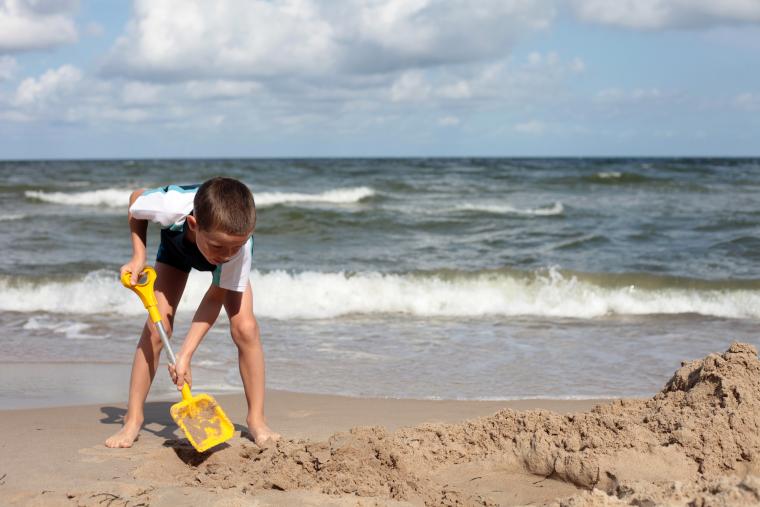 Strandliv i Ålbaek på Nordjylland