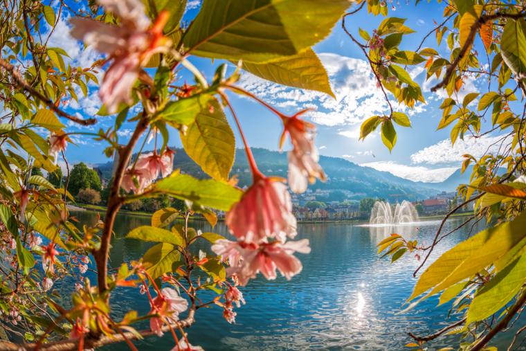 Njut av vacker natur med en stuga i Bergen