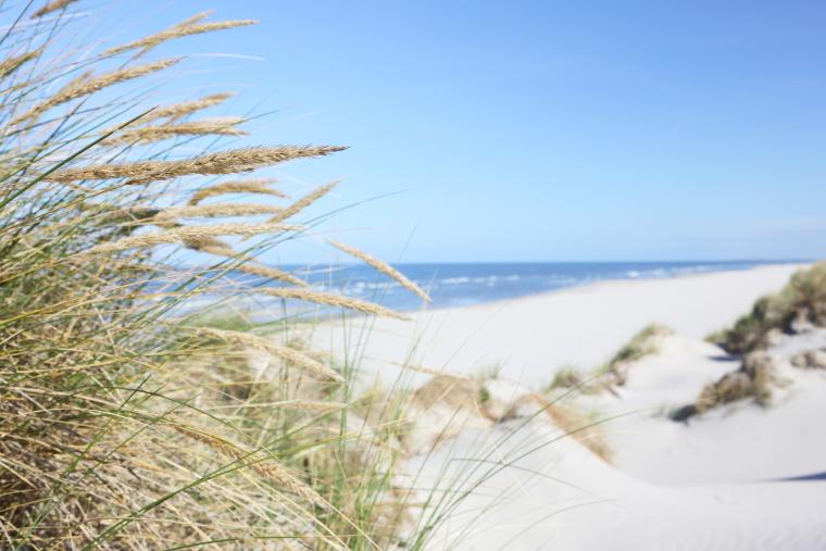Njut av den härliga Balka strand på Bornholm