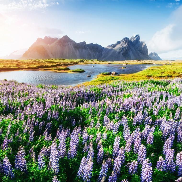 Hyr stuga och upplev Island under semestern