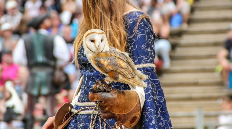 Show i Puy du Fou