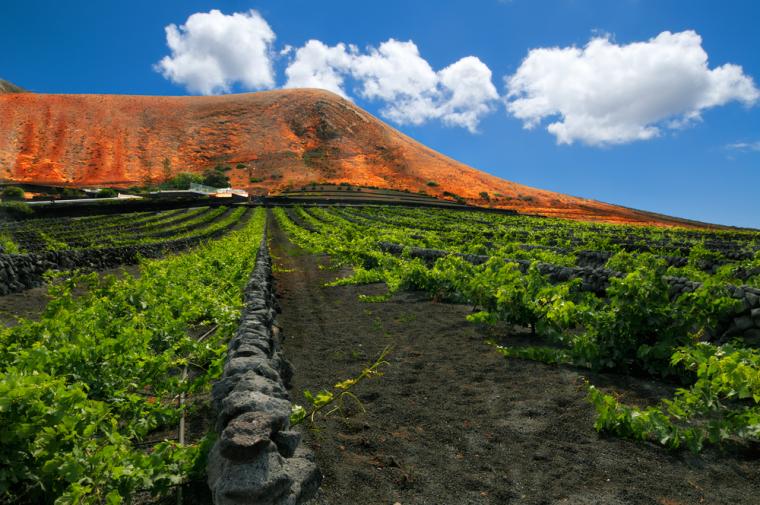 Hyr semesterbostad på vackra Lanzarote