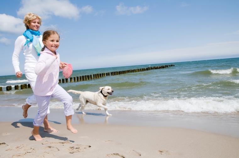 Hyr stuga i Danmark med hund för nästa semester
