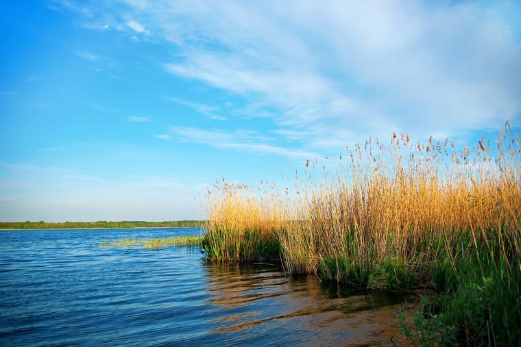 Semester i Halland nära havet