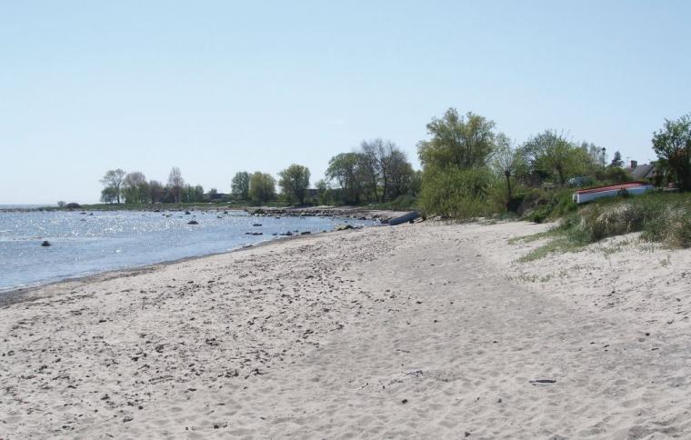 Strand vid Abbekås i Skurup kommun