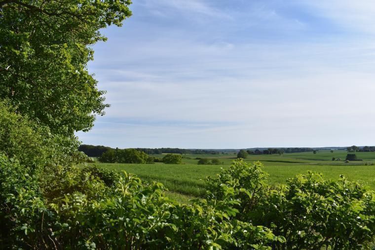 Naturskön stugsemester i Klippan, Skåne