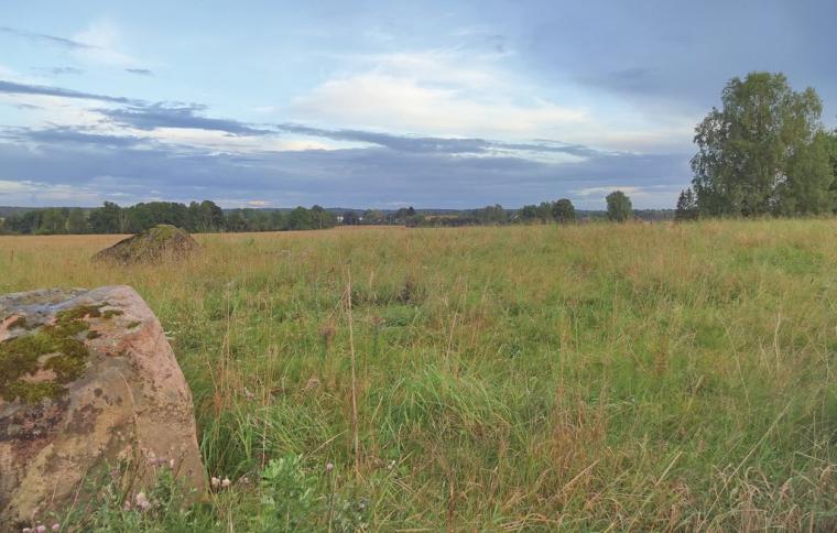 Naturnära med stuga i Östra Göinge