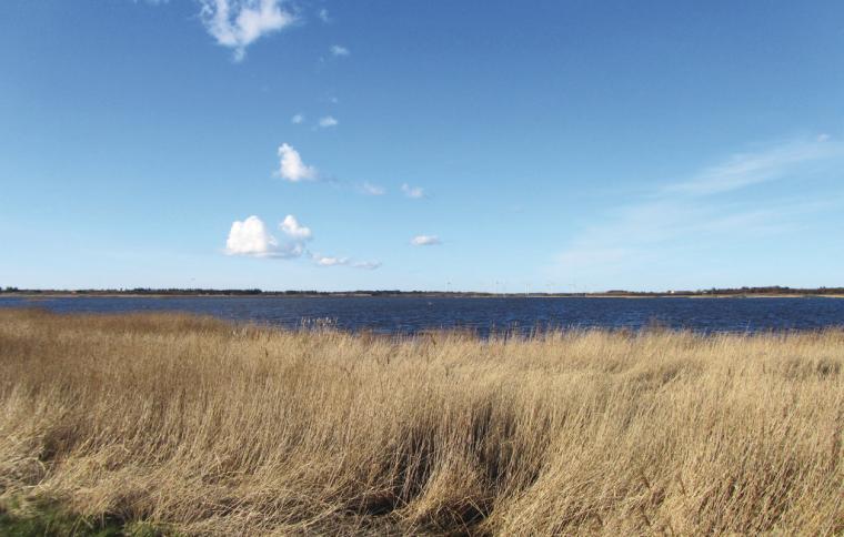Hyr stuga nära vatten vid Stadil Fjord