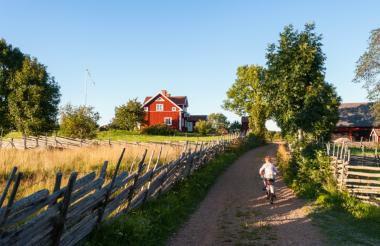 Några uhyrares omdömen om NOVASOL